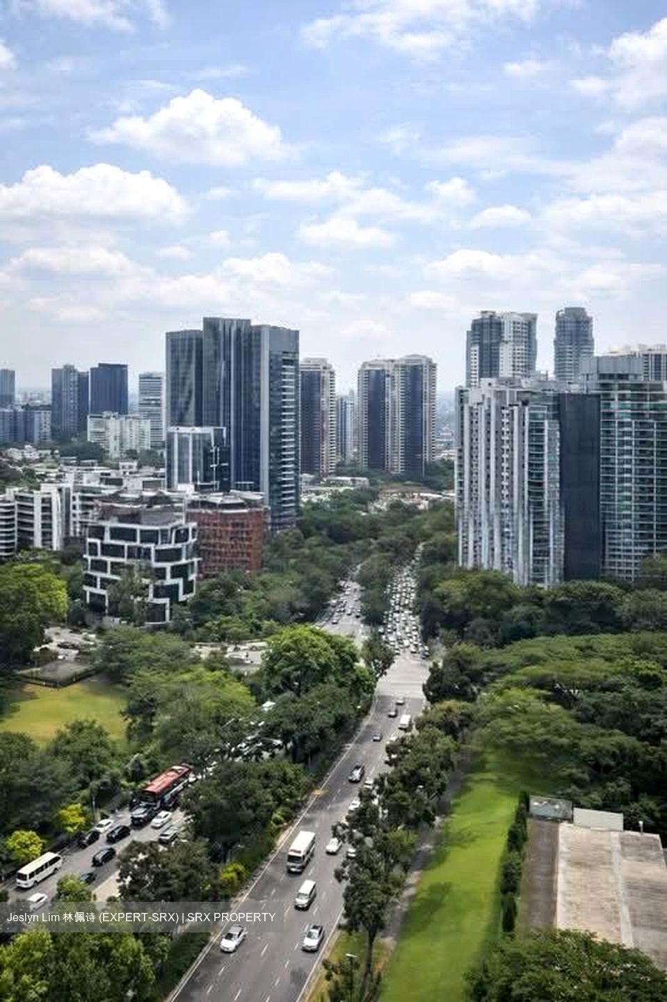 Irwell Hill Residences (D9), Apartment #551275621